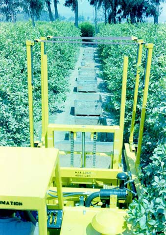 The design of Straddle Forks� allows it to easily more through rows of an orchard or field without harming the surrounding plants.